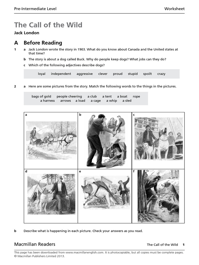 The Call of The Wild Worksheet PDF The Call Of The Wild