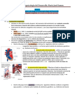 Cardiopatía Congénita. Neuropsicología Del Desarrollo