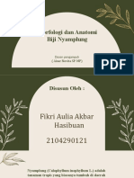 Morfologi Dan Anatomi Biji Nyamplung Fikri Aulia Akbar Hasibuan 2104290121