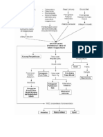 PATHWAY EFUSI PLEURA