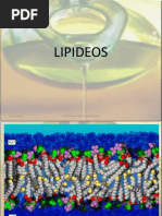 LIPIDEOS 2011
