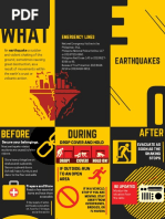 Brochure AP Dela Cruz | PDF | Earthquakes | Hazards