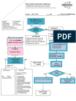 Protocolo DST