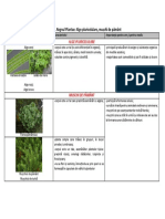 Plante Alge Pluricelulare Mușchi