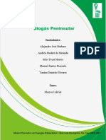 Biogas Peninsular Informe