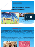 Encefalopatia Spongiformă Bovină