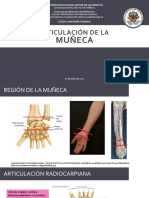 (Anatomía) ARTICULACIÓN DE LA MUÑECA