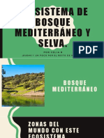 CeliaB - ECOSISTEMA de Bosque Mediterráneo y Selva