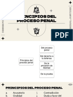 Principios Del Proceso Penal 2