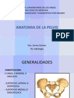 Anatomia de La Pelvis - Dra Sunny Gomez