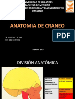 Anatomia de Craneo - Nidia Morales