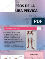 Huesos Cintura Pelvica