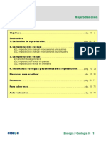 PDF q10 Archivo