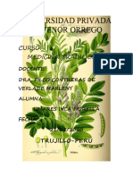 Universidad privada Antenor Orrego: Plantas medicinales regaliz