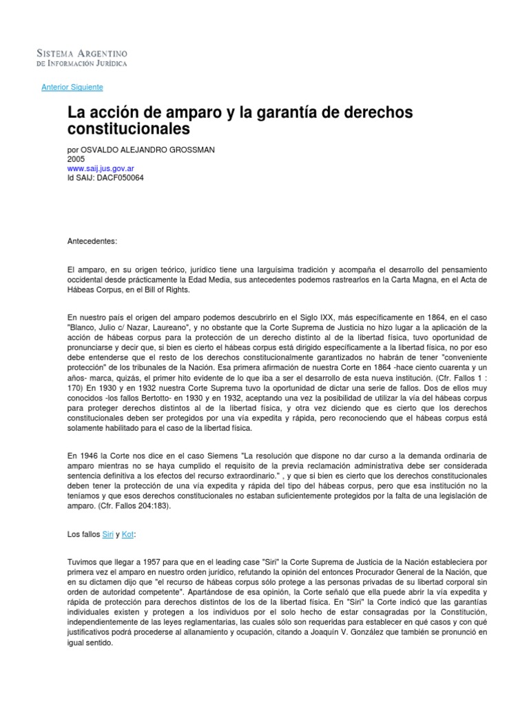 Acción de Amparo y Derechos Constitucionales | PDF | Habeas corpus ...