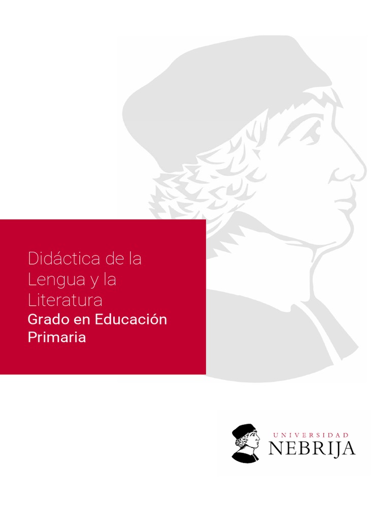 Didactica de La Lengua y La Literatura | PDF | Prueba (evaluación ...