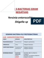 UNIDAD 3.bacilos Gram Negativos-Yersinia y Shigella