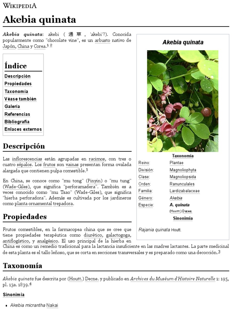 Akebia Quinata - Wikipedia, La Enciclopedia Libre | PDF | Botánica ...