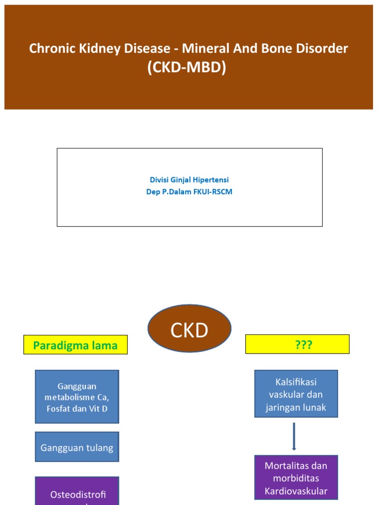 (CKD-MBD) : Chronic Kidney Disease - Mineral and Bone Disorder | PDF ...