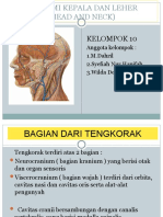 Anatomi-Kepala (Head) dan Leher (Neck) KELOMPOK 10