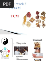 Traditional Chinese Medicine II