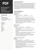 Web Developer Resume Example