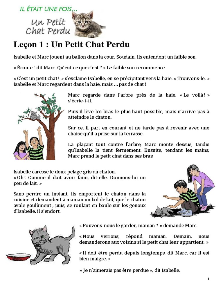 La première fois que j'ai perdu mon chat Bonjour J'ai perdu