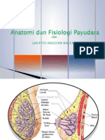 Anatomi Dan Fisiologi Payudara