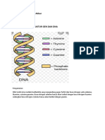 Azila Salsabila - Tugas Biologi (Pengamagan Struktur Gen Dan Dna)
