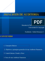 Principios de Auditoria