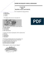 Cells and Tissues Class Test Chapter Review