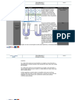 Ficha Informativa2 - A2 - Perpétuo