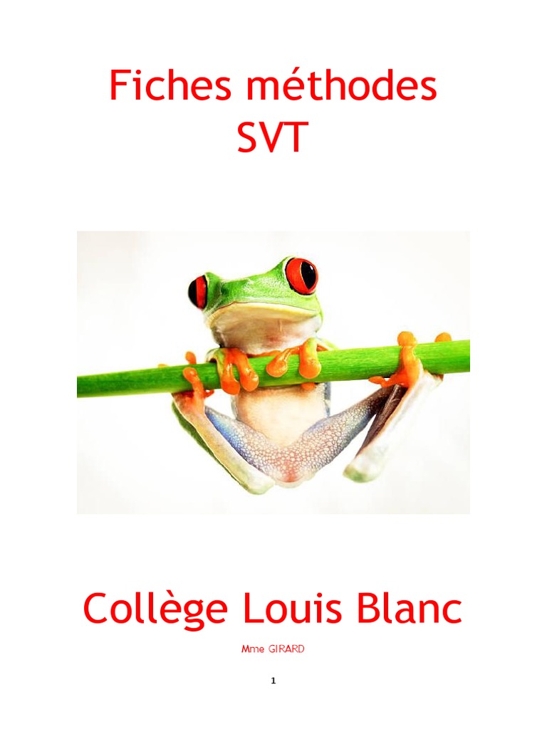 m-thodes-de-dessin-en-svt-6-me-pdf-exp-rience-dessin