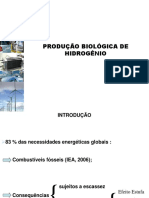 Producao de Biohidrogenio