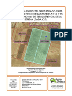 Documento Ambiental IA19 01141