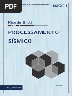 Processamento - Sísmico Texto Base