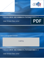 Veias Dos Membros Inferiores I