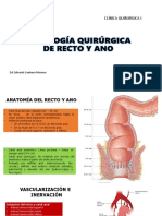 Patología Anorectal