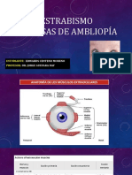 Estrabismo y Causas de Ambliopia