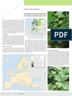 Alnus Incana: Alnus Incana in Europe: Distribution, Habitat, Usage and Threats