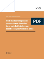 Pp-01 Medidas Tecnologicas Derechos de Autor