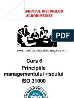 Management - Risc Curs 6 ISO 31000 - 2021