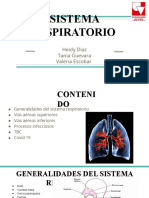 SISTEMA RESPIRATORIO Presentacion