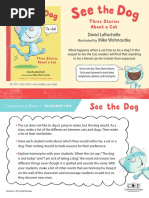 See the Dog Three Stories About a Cat Teacher Tip Card