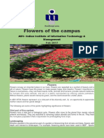 Flowers of The Campus: ABV-Indian Institute of Information Technology & Management
