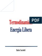 Termodinamica5 Energia Libera Di Gibbs