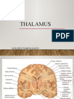 Thalamus: Golden Tamon-Gayo