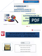 Plantilla de Sustentación