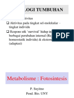 Handout Fotosint 2018