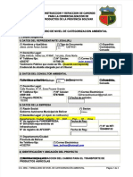 PDF Formulario de Nivel de Categorizacion Ambiental DD
